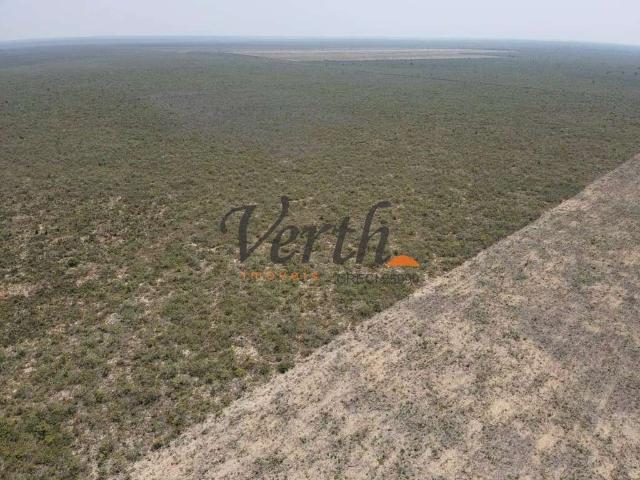 Fazenda venda em Jaborandi, Região Nordeste