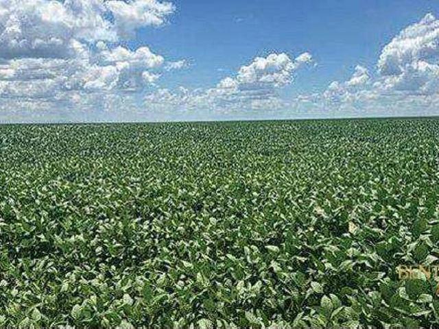 Fazenda venda em Alto Paraíso, Jaborandi