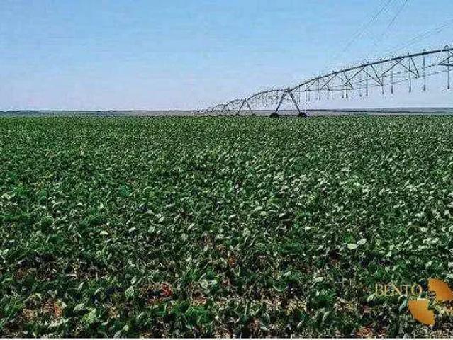 Fazenda venda em Jaborandi, Região Nordeste