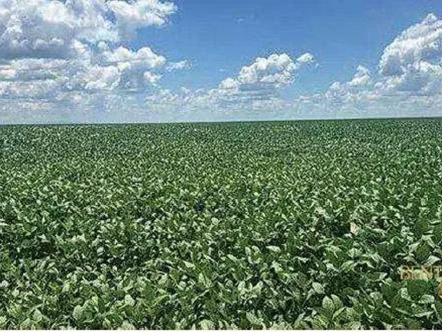 Fazenda venda em Jaborandi, Região Nordeste
