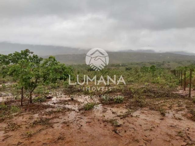 Fazenda venda em Região Geográfica Imediata de Belo Horizonte, Região Metropolitana de Belo Horizonte