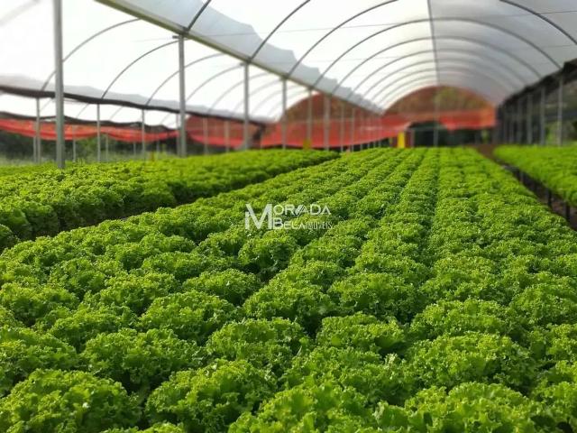 Fazenda venda em Região Geográfica Imediata de Belo Horizonte, Região Metropolitana de Belo Horizonte