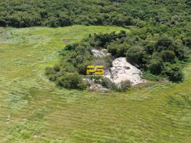 Fazenda venda em Jacaraú, Região Nordeste
