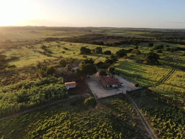 Fazenda venda em Jacaraú, Região Nordeste