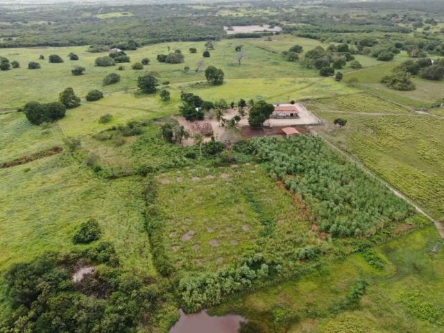 Fazenda venda em Jacaraú, Região Nordeste
