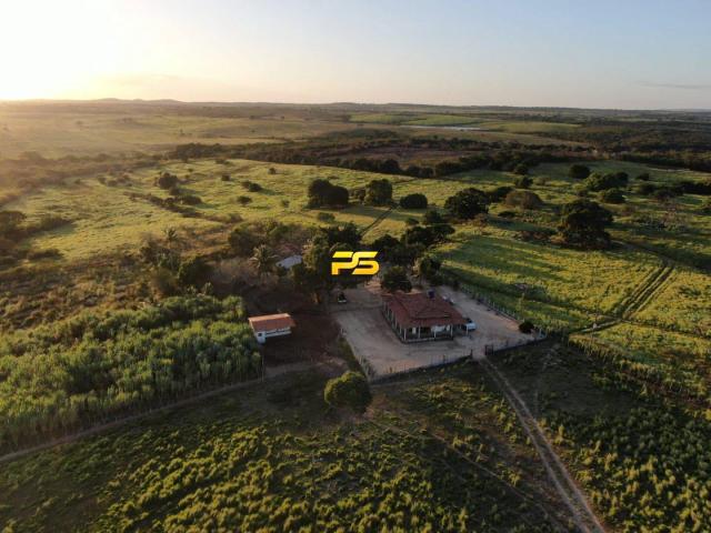 Fazenda venda em Jacaraú, Região Geográfica Intermediária de João Pessoa