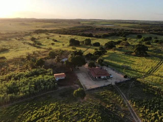 Fazenda venda em Jacaraú