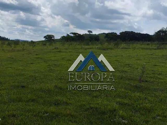 Fazenda venda em Região Geográfica Imediata de Santo Antônio da Platina, Jacarezinho