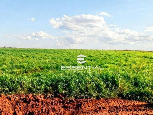 Sítio e chácara venda em Região Geográfica Imediata de Jaciara, Jaciara