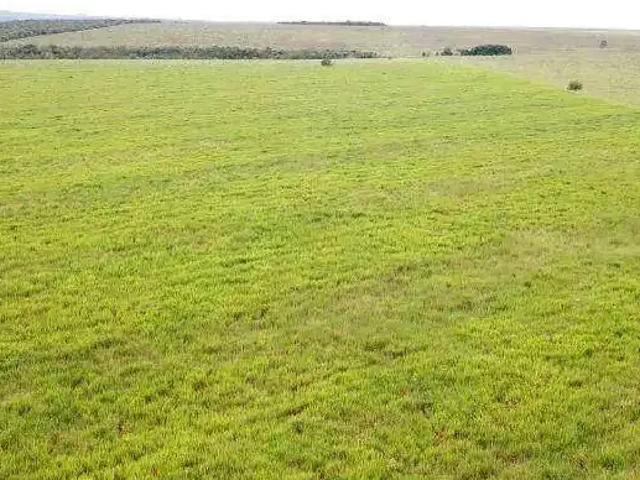 Fazenda venda em Região Geográfica Imediata de Jaciara, Jaciara