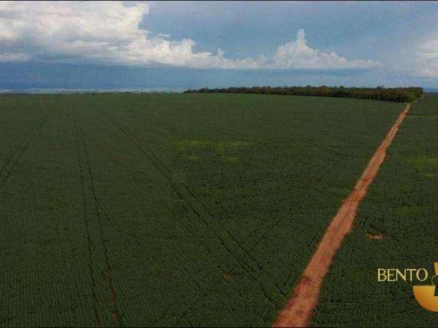 Fazenda venda em Centro, Jaciara