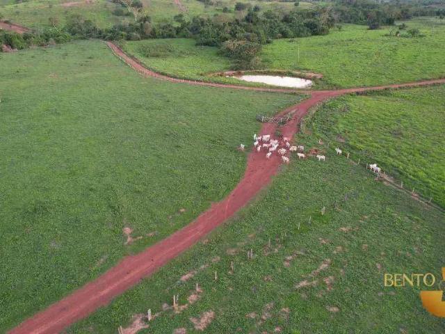 Fazenda venda em Região Geográfica Imediata de Jaciara, Jaciara