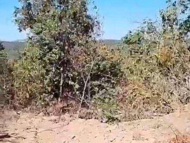 Fazenda venda em Centro, Jaciara