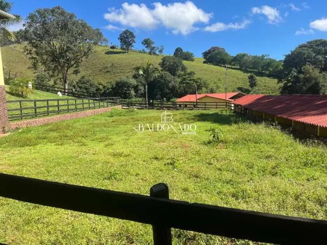 Fazenda venda em Região Geográfica Imediata de São Sebastião do Paraíso, Jacuí