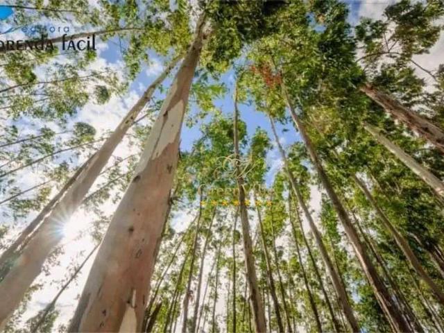 Fazenda venda em Região Imediata de Registro, Jacupiranga