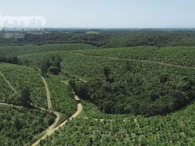 Fazenda venda em Região Imediata de Registro, Jacupiranga