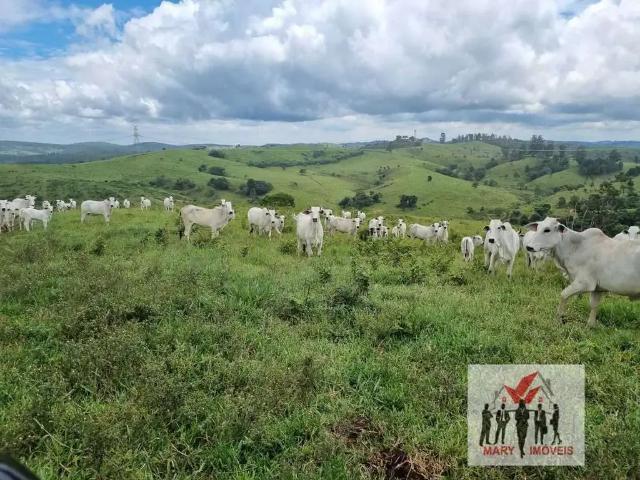 Fazenda venda em Região Geográfica Imediata de Pouso Alegre, Jacutinga