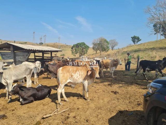 Fazenda venda em Região Geográfica Imediata de Pouso Alegre, Jacutinga
