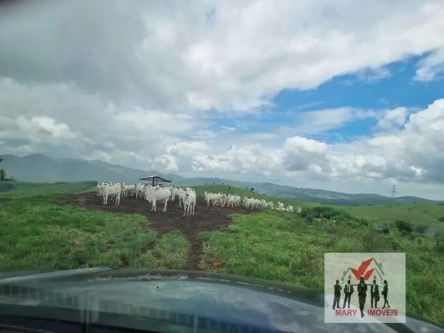 Fazenda venda em Região Geográfica Imediata de Pouso Alegre, Jacutinga