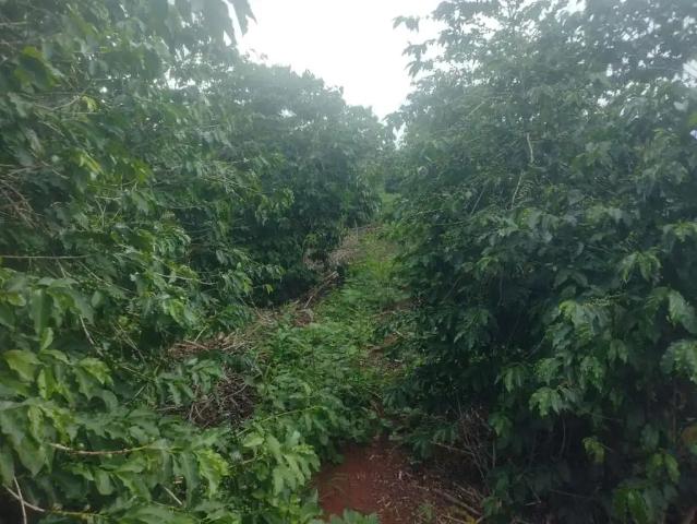 Fazenda venda em Região Geográfica Imediata de Pouso Alegre, Jacutinga