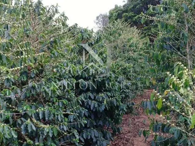 Fazenda venda em Região Geográfica Imediata de Pouso Alegre, Jacutinga