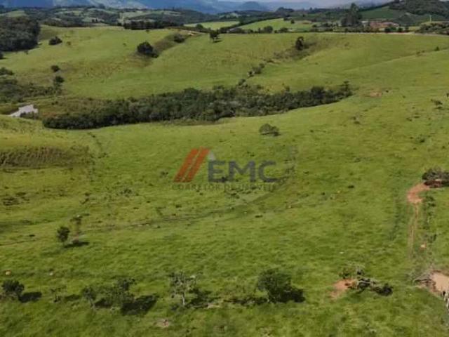 Fazenda venda em Jacutinga, Região Geográfica Intermediária de Pouso Alegre