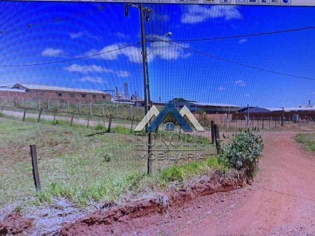Fazenda venda em Jaguapitã, Região Geográfica Intermediária de Londrina