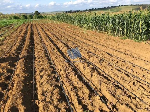 Fazenda venda em Jaguaquara, Região Nordeste