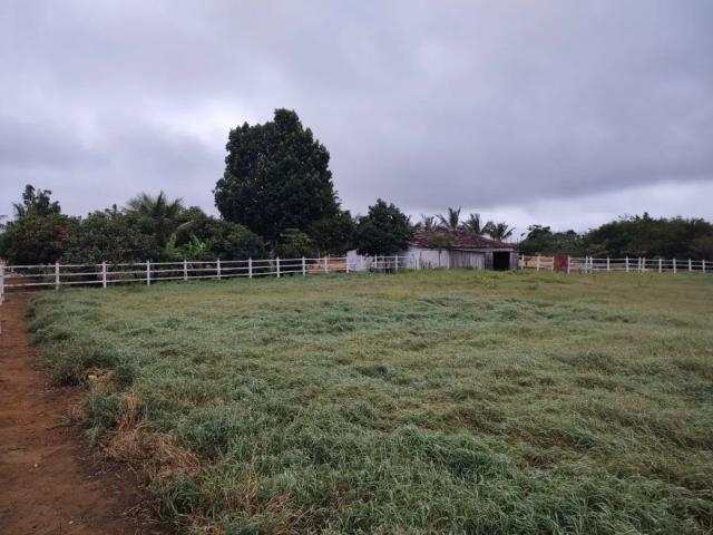 Fazenda venda em Jaguaquara, Região Nordeste