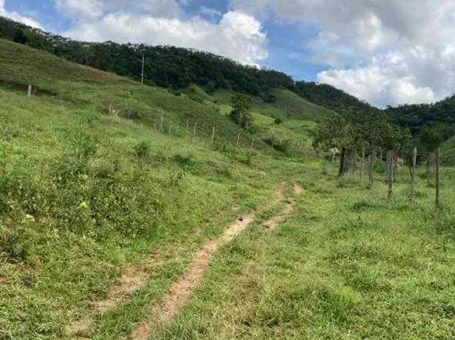 Fazenda venda em Região Geográfica Imediata de Ipatinga, Jaguaraçu