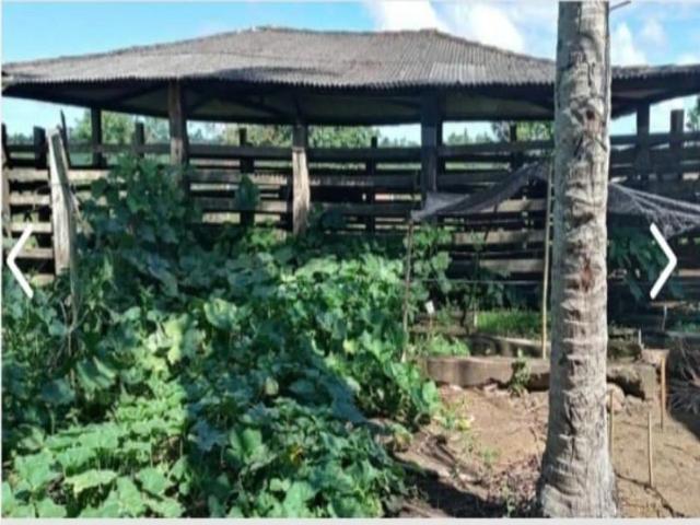 Fazenda venda em Jaguaripe
