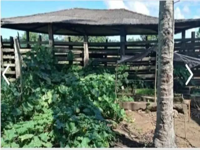 Fazenda venda em Região Geográfica Imediata de Nazaré – Maragogipe, Jaguaripe