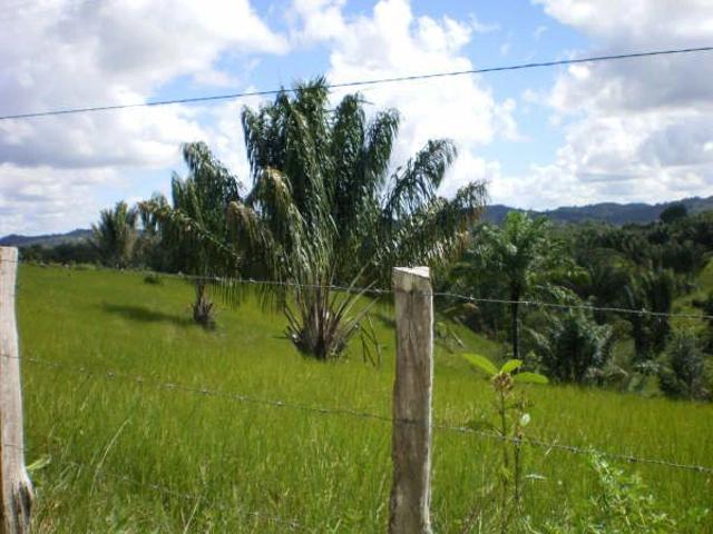 Fazenda venda em Jaguaripe, Região Geográfica Intermediária de Santo Antônio de Jesus