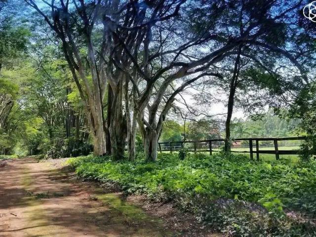 Fazenda venda em Região Imediata de Campinas, Região Metropolitana de Campinas