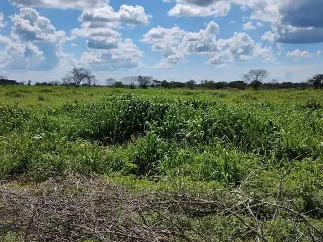 Fazenda venda em Região Geográfica Imediata de Janaúba, Jaíba
