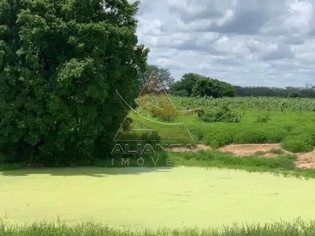 Fazenda venda em Região Geográfica Imediata de Janaúba, Jaíba