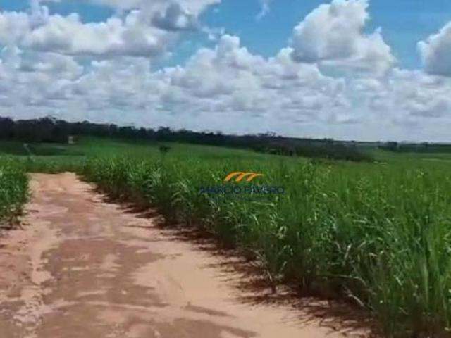 Sítio e chácara venda em Região Imediata de Jales, Jales