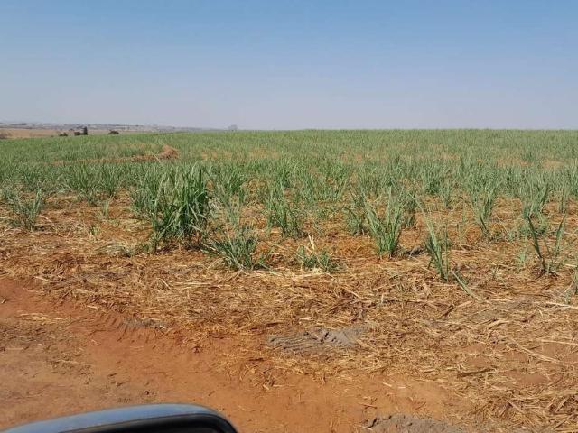 Fazenda venda em Região Imediata de Jales, Jales