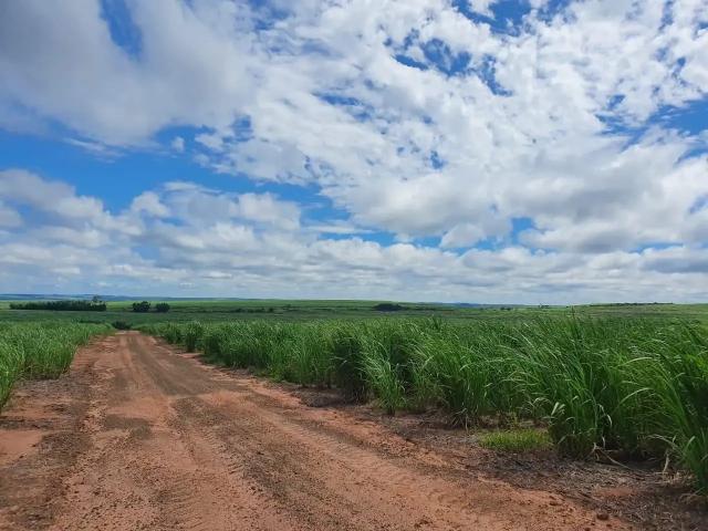 Fazenda venda em Região Imediata de Jales, Jales