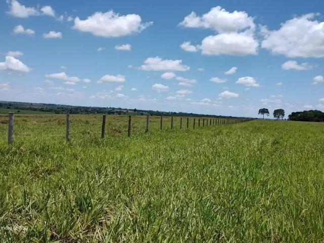 Fazenda venda em Região Imediata de Jales, Jales