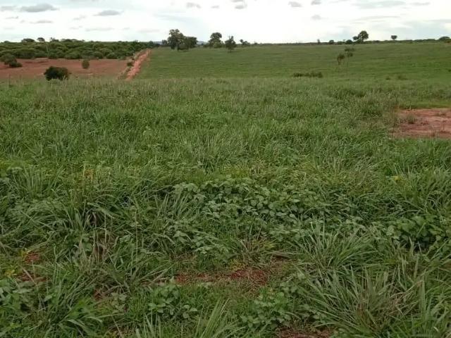 Fazenda venda em Região Geográfica Imediata de Janaúba, Janaúba