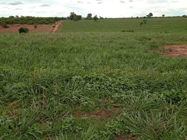 Fazenda venda em Esplanada, Janaúba
