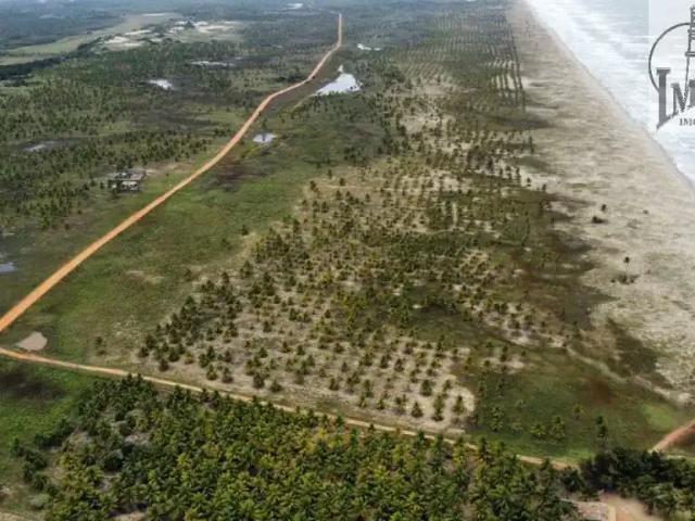 Fazenda venda em Região Geográfica Imediata de Alagoinhas, Jandaíra