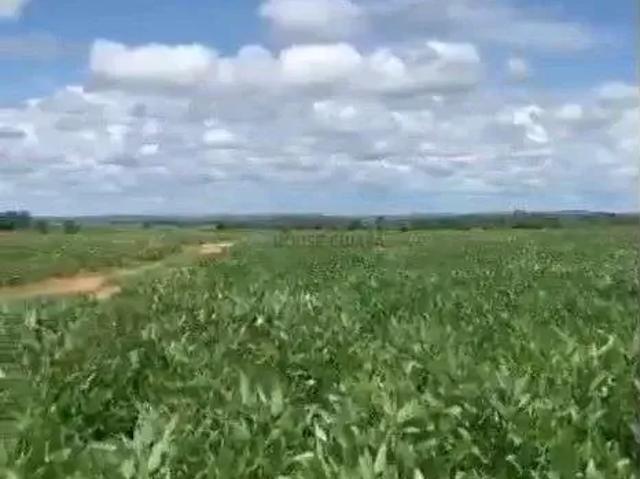 Fazenda venda em Região Geográfica Imediata de Cuiabá, Jangada