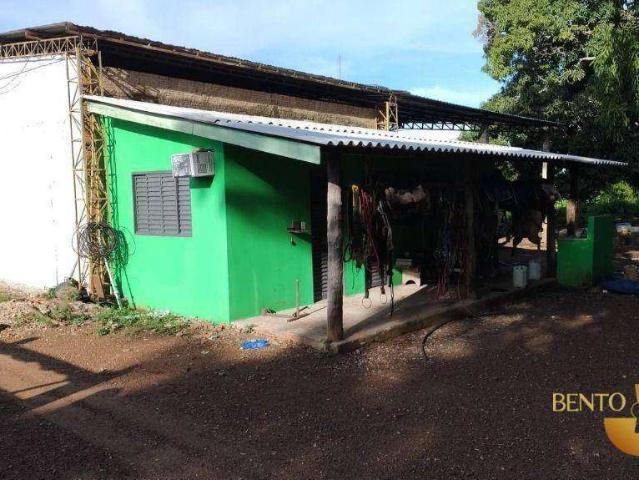 Fazenda venda em Jangada, Região Geográfica Intermediária de Cuiabá
