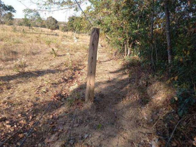 Fazenda venda em Jangada, Região Geográfica Intermediária de Cuiabá