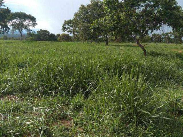 Fazenda venda em Jangada, Região Geográfica Intermediária de Cuiabá