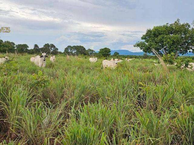 Fazenda venda em Jangada, Região Geográfica Intermediária de Cuiabá