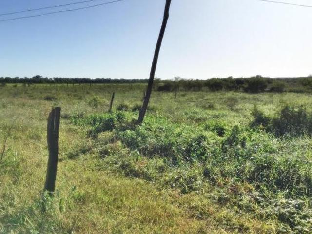 Sítio e chácara venda em Região Geográfica Imediata de Januária, Januária