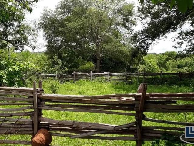 Fazenda venda em Região Geográfica Imediata de Januária, Januária